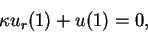 \begin{displaymath}
\kappa u_r(1)+u(1)=0,
\end{displaymath}